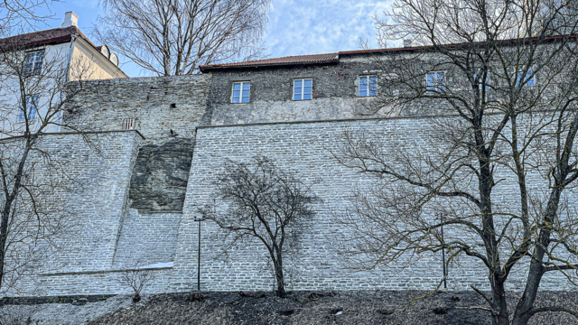 Toompea tugimüür